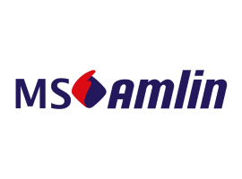 MS Amlin